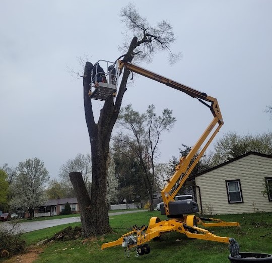 Stump Removal & Tree Service Howell MI | NXT LVL Tree Services